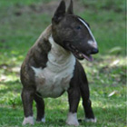 Generic placeholder image